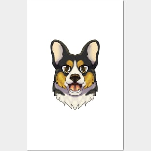 Tricolor Corgi Posters and Art